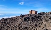 Trail Walking La Orotava - Sommet du Teide - Photo 3