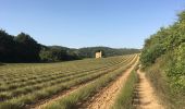 Trail Walking Gréoux-les-Bains - 2019 09 16 château Laval et marchand - Photo 1