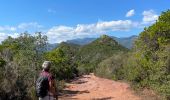 Trail Walking Darnius - Mirador del sentinella  - Photo 8