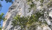 Tour Wandern Allèves - 06-09-2022 Tours Saint Jacques-Grottes de Bange  - Photo 3