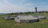 Tour Zu Fuß Sondershausen - Frauenbergrundweg - Photo 1