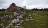 Tour Wandern Laveissière - Burons - Photo 1