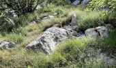 Tour Wandern Plan-d'Aups-Sainte-Baume - Hostellerie de la Ste Baume / Pas de L'AÏ / Le paradis / Col de St Pilon  16 juin 2022 - Photo 5