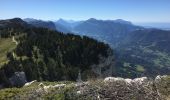 Tocht Stappen Entremont-le-Vieux - Le Granier - Photo 18