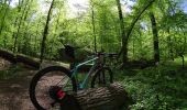 Randonnée V.T.T. La Hulpe - VTT sur la forêt de soignes - Photo 9