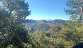 Randonnée Marche Venterol - URTIS . COL DE BUISSONET . SOM DE MONTSERIEUX . VENTEROL . O M S  - Photo 6