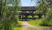 Tocht Stappen Chambord - Parc de Chambord et ses postes d'observation  - Photo 7