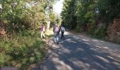 Randonnée Marche Moulès-et-Baucels - baucel  avec passage du pont - Photo 4