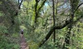 Trail Walking Moustiers-Sainte-Marie - Moustiers Castillon 13,1 km - Photo 7