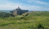 Tour Wandern L'Île-d'Yeu - île d'Yeu ouest + citadelle - Photo 1