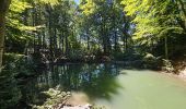 Tour Wandern Les Houches - J6 - Servoz - La Cote - La Gouille du Bë - Photo 14