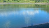 Trail Trail Capesterre-Belle-Eau - Le Barrage  - Photo 5