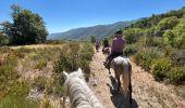 Trail Horseback riding Buoux - Provence 2025 J2 - Photo 12