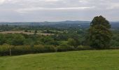 Tour Zu Fuß Wyre Forest - Habberley Valley Circular Walk - Photo 4