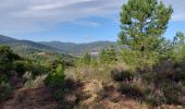 Trail Walking Prades-sur-Vernazobre - Prades-Broutelade  - Photo 2