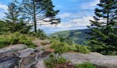 Trail Walking Dabo - col de la schlief - Photo 2