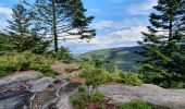 Tocht Stappen Dabo - col de la schlief - Photo 2