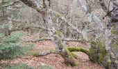 Randonnée Marche Doizieux - Doizieux - De l'émetteur du Pilat à la Jasserie - Photo 8