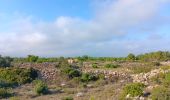 Tour Wandern Leucate - plateau de leucat sud-est sans grand route  - Photo 9