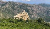 Tour Wandern Pino - Randonnée Cap Corse  - Photo 10