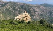 Randonnée Marche Pino - Randonnée Cap Corse  - Photo 10