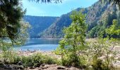 Trail Walking Orbey - Lac noir lac blanc  - Photo 4