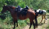 Trail Horseback riding Saint-Victor - petit tour le soleil - Photo 5