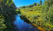 Tour Wandern Gedinne - Marche Adeps à Gedinne - Photo 11