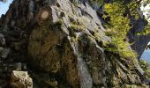 Trail Walking Saint-Maurice-sur-Moselle - Rouge Gazon - Lacs des Perches et du Neuweiher - Col des Charbonniers  - Photo 6