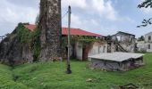 Tour Wandern Basse-Pointe - Boucle Habitations  Gradis et  Hackaert - Photo 6