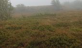 Tocht Stappen Soultz-Haut-Rhin - 01-08-23 Tour Vosges J1: Grand Ballon - Markstein - Photo 1