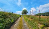 Randonnée Marche Viroinval - Balade à Le Mesnil - Viroinval - Photo 12