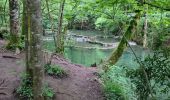 Tour Wandern Les Planches-près-Arbois - la reculée des planches - Photo 7