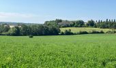 Excursión  Castelnau-de-Montmiral - Chemin de Gradille avec chapelle  - Photo 14