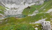 Trail Walking La Chapelle-d'Abondance - CORNETTES DE BISE: LAC DE DARBON - Photo 8