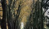 Randonnée Marche Yvoir - GODINNE ... balade des feuilles mortes. - Photo 14