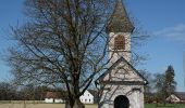 Tocht Te voet Tieschen - Linke Fußspur (Auf den Spuren der Vulkane) - Photo 6