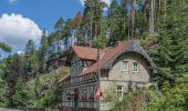 Excursión A pie Tambach-Dietharz - Rund um die Alte Tambacher Talsperre - Photo 2