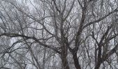 Tocht Stappen Verlaine - champon - Photo 1