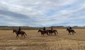 Trail Horseback riding Bardenas Reales de Navarra - Bardenas jour 6 - Photo 3