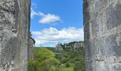 Randonnée  Balazuc - Balazuc la tour de Jeanne le Viel Audon  - Photo 6