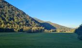 Tour Wandern Metzeral - Tour Steinabruck - Mittlach - Photo 6