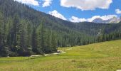 Trail Walking Cortina d'Ampezzo - DOLOMITES 02 - Refugio Pederü - Photo 20