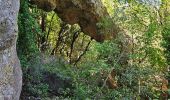 Trail Walking Belgentier - Pas de Belgentier  - Photo 13