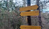 Trail Walking Sisteron - SISTERON . CHAMP BRANCOU . LA COLLE . LE MOLLARD O  L  S - Photo 3