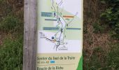 Trail Walking Brezons - Cascade de la vallée de Bretons - Photo 3