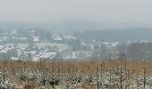 Tour Wandern Saint-Hubert - rando fourneau st michel 28-11-2023 - Photo 8