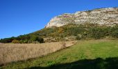 Trail Walking Castellane - Castellane - Chapelle St Thyrs - Petit Robion - Sommet Robion - Gorges du Rayaup - Photo 6