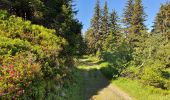 Trail Walking Villard-sur-Doron - Hameau du Beaufortain - La Croix de Coste - Photo 5