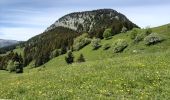 Randonnée Marche Glières-Val-de-Borne - GLIERES: TOUR DE LA MONTAGNE DES FRETES - Photo 17